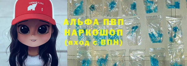 гидра Корсаков