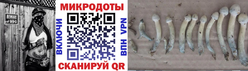 Галлюциногенные грибы ЛСД  наркотики  Суровикино 