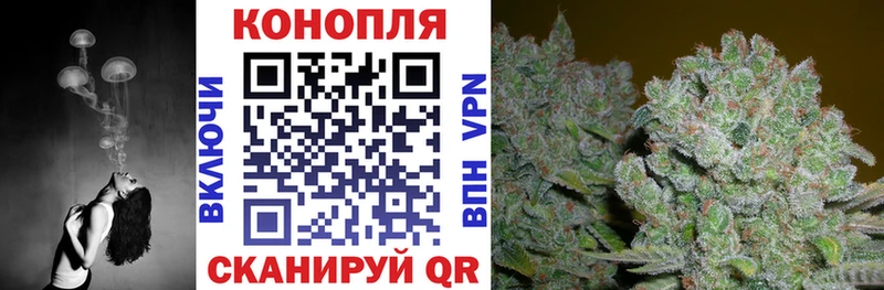 как найти закладки  Суровикино  Канабис Bruce Banner 